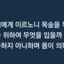 뽀도독 애견카페 이미지