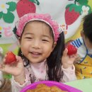 쿠킹데이~~딸기크로와상🍓🍓🍓 이미지