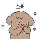 펫콤동물병원