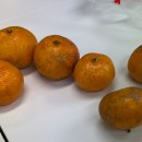 강남대로39길 5 (1) 이미지