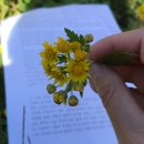 용담1리 이미지