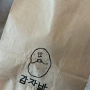 나무들의 수다 이미지