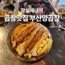 찬 양 | 잠실새내역 곱창 맛집 곱이 꽉찬 부산양곱창 솔직후기
