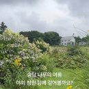 송당팜
