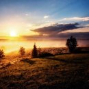 서울메이트치과의원 이미지