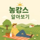 김제수류산골마을 | 🌾 농캉스 완벽 가이드 | 2025년 최신 농촌여행 트렌드와 추천지