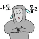 하우 명품대패 네이버블로그