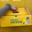 ［리뷰］박남매 레몬생강즙 100% 국내산 원물로 만든 생강차 후기
