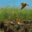 경남과학고등학교 이미지