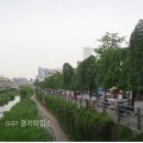 수원시 팔달구 나혜석거리 (주)경기 타임스