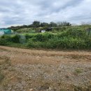 진리농장 이미지