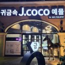 늘,예쁜개 | 순천 커플링 예물반지 결혼반지 쥬얼리 예쁜 곳 제이코코