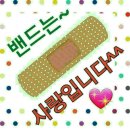 바이크세상