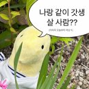 [Daily] 다시 돌아온 일상 💭 | 먹고 일하고 먹고 🍰🧁🥧🍫