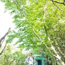 연학목장 이미지