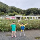 내북초 이식분교 이미지