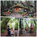 서윤의숲길 | 제주도 서쪽 산책로 숲길 추천 산양큰엉곶 입장료 주차