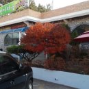 고향우렁이마을 이미지