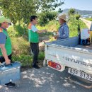 상중리중촌 이미지