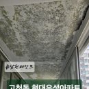 우성현대아파트(25005) | [구로구 고척동 현대우성아파트] 베란다 탄성코트 시공 후기- 결로, 곰팡이 인테리어 리모델링