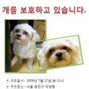 말티가는길 이미지