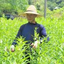 요한농원 이미지