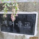 새터농로 이미지