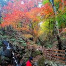 경주 현곡면 구미산 용담정[펌] 이미지