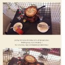 오리지널시카고피자