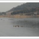 우곡사 저수지 이미지