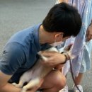 제주 아줌마집 네이버블로그