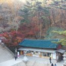 (주)비제이비프로 이미지