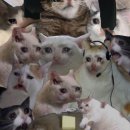 제육시간 이미지