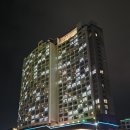 물의 하모니 | 빛과 물이 선사하는 환상적인 하모니! 여수 엑스포 야간 분수쇼 후기