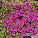 엑스퍼트 행정사사무소 이미지