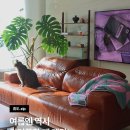 취향의공간 | [휴도ZIP] 여름철 컬러풀 인테리어, 카멜 컬러 가죽 소파로 도전?! 취향의 동백 리얼 후기🤎