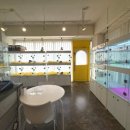 펫퍼스트24시 서울송파점 강아지고양이분양말티푸말티즈푸들 이미지