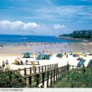 아름다운 모항 펜션 이미지