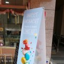 마카롱노래타운