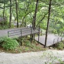 호명산캠프 티스토리