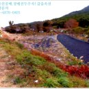 보길면-1 이미지