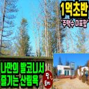 여주-0214 네이버블로그
