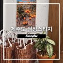 월정스티치 | 제주도 여행 구좌읍 소품샵 월정스티치 기념품 산 후기