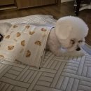 프라임PC존 | [8월 1주차 무더운 여름도 즐기면 재밌어]