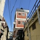성원여관 | 2박3일 강아지랑 전주여행 숙소편 내돈내산 [대명여관] 한옥마을 가까운 숙소 , 애견동반 가능 숙소 후기