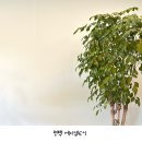 에이엠6시 | 평택 에이엠6시 메뉴 산도 후르츠산도 가격 주차장 후기 아기랑