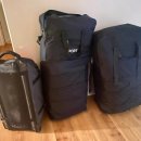 독라이프 이미지