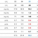 스마일동물병원 이미지