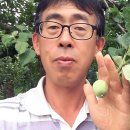 대가초등학교병설유치원 이미지