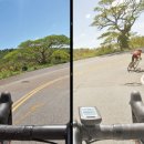 수원-0159 이미지